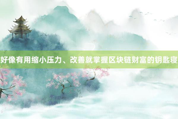 好像有用缩小压力、改善就掌握区块链财富的钥匙寝