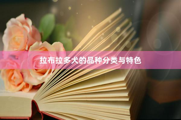 拉布拉多犬的品种分类与特色