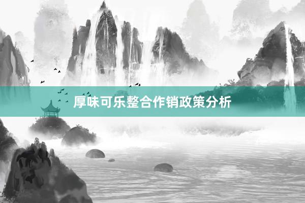 厚味可乐整合作销政策分析